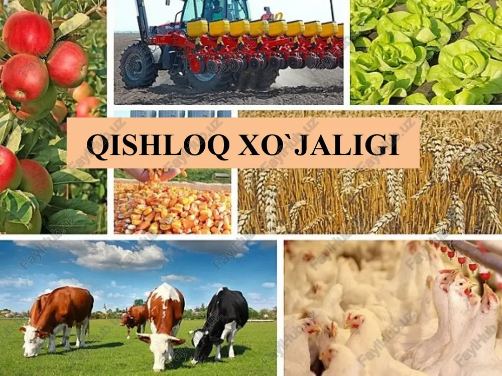 qishloq xo‘jaligi — PPTX