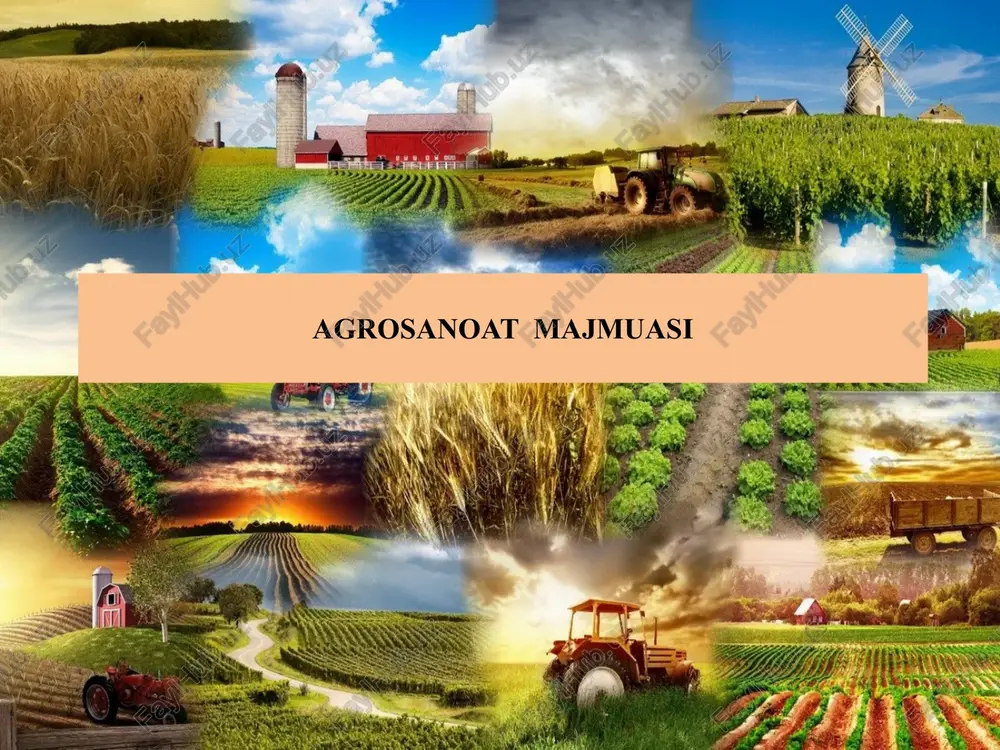 agrosanoat majmuasi — PPTX