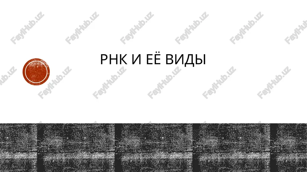 rnk — PPTX