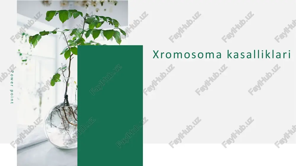 xromosoma kasalliklari — PPTX