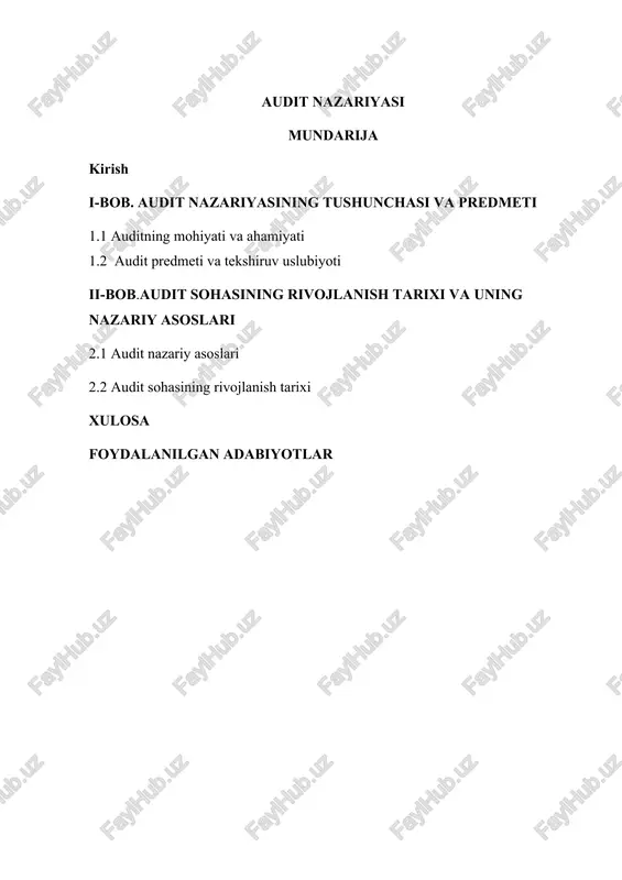 audit nazariyasi — DOC
