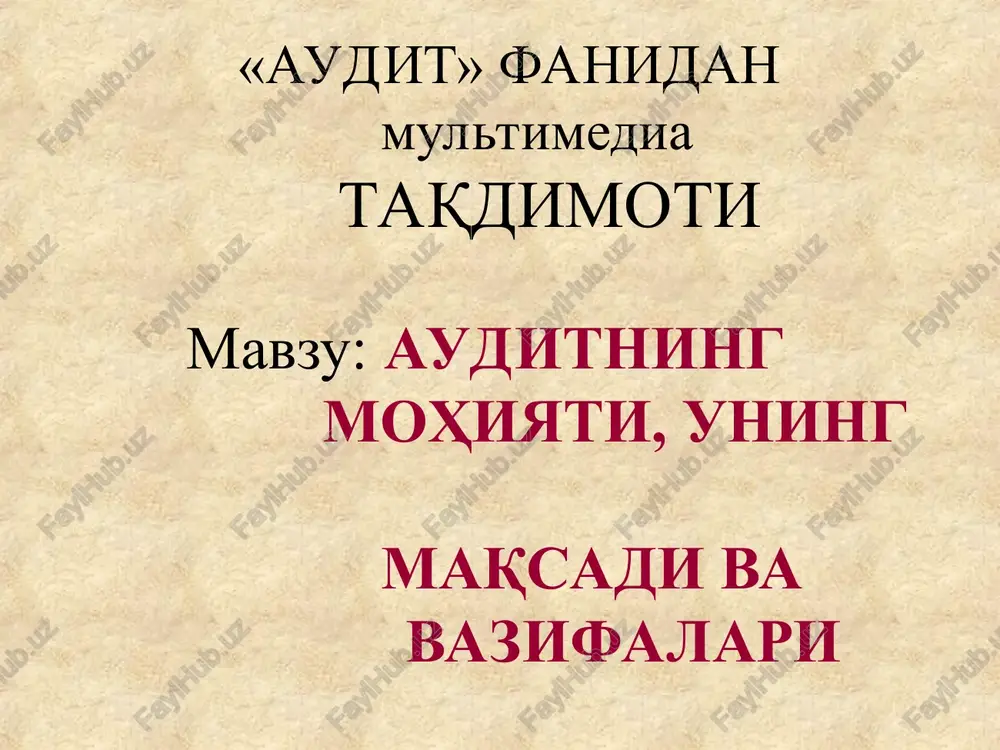 "audit" fanidanmultimedia — PPT