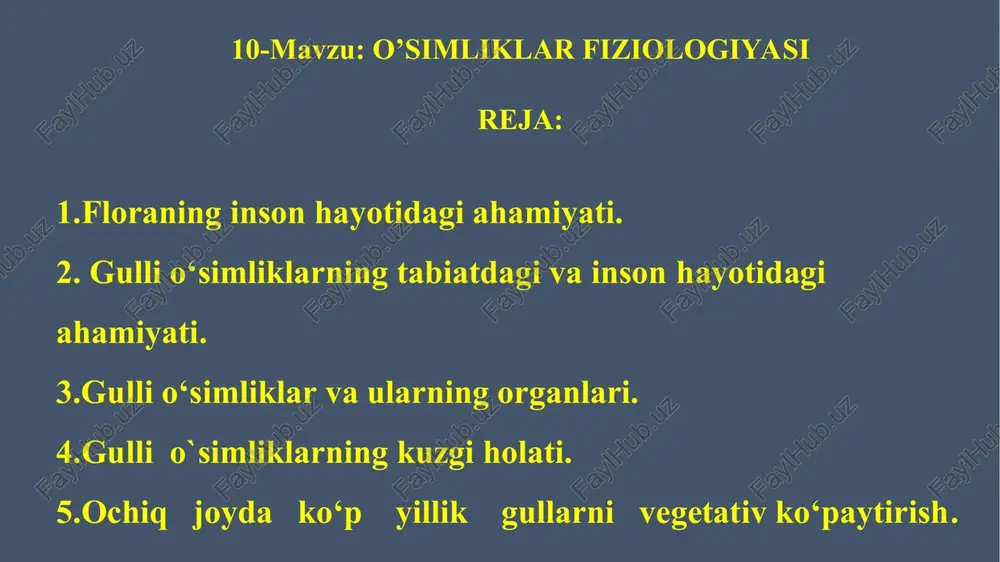 o'simliklar fiziologiyasi — PPT