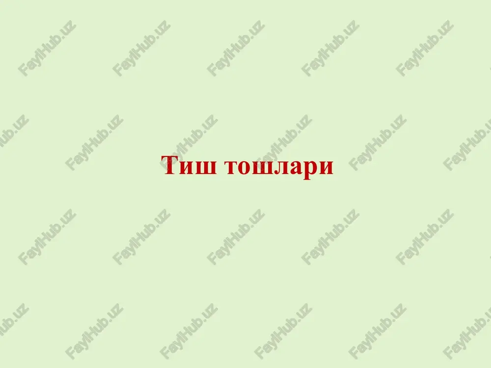 tishlar — PPT