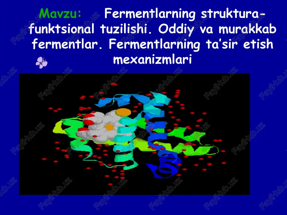 fermentlar — PPT