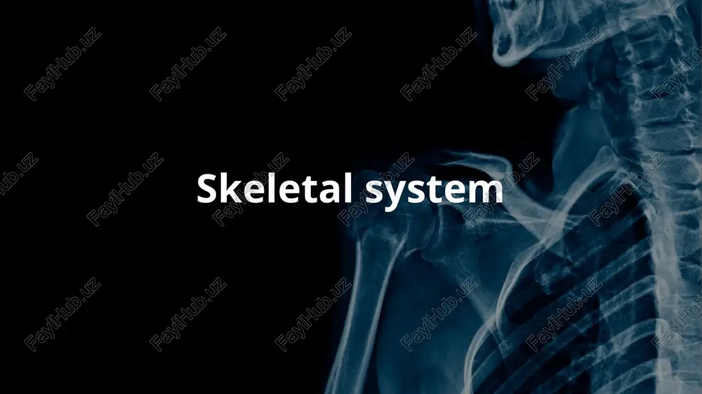 skeletal system — PPTX