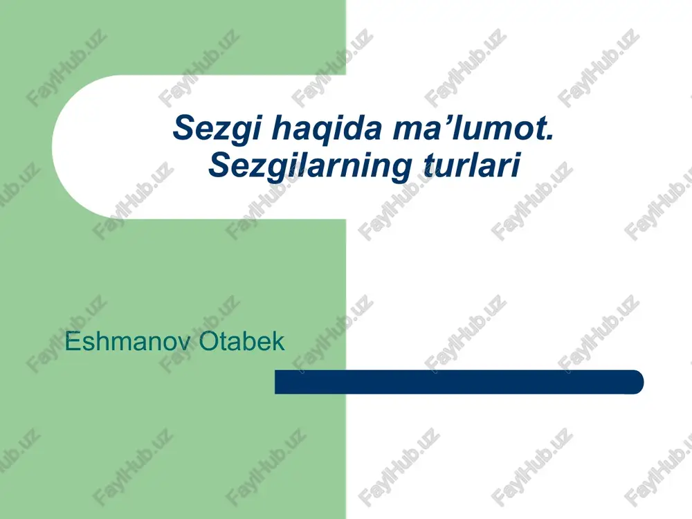 sezgilar — PPT