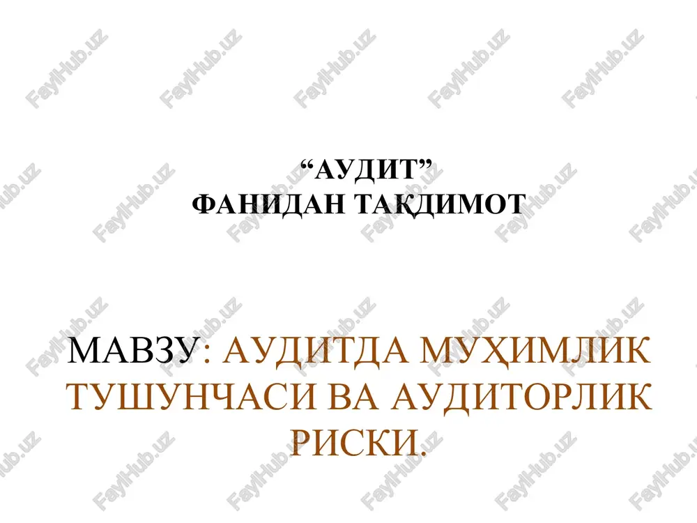 "audit" — PPT
