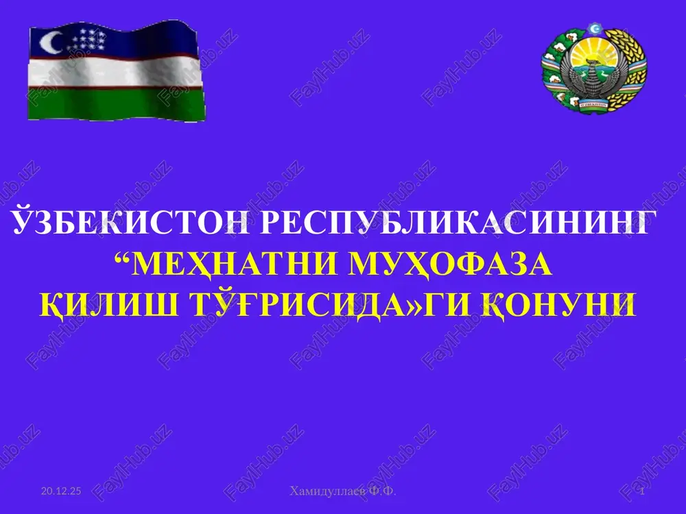 mehnatni muhofaza qilish — PPT