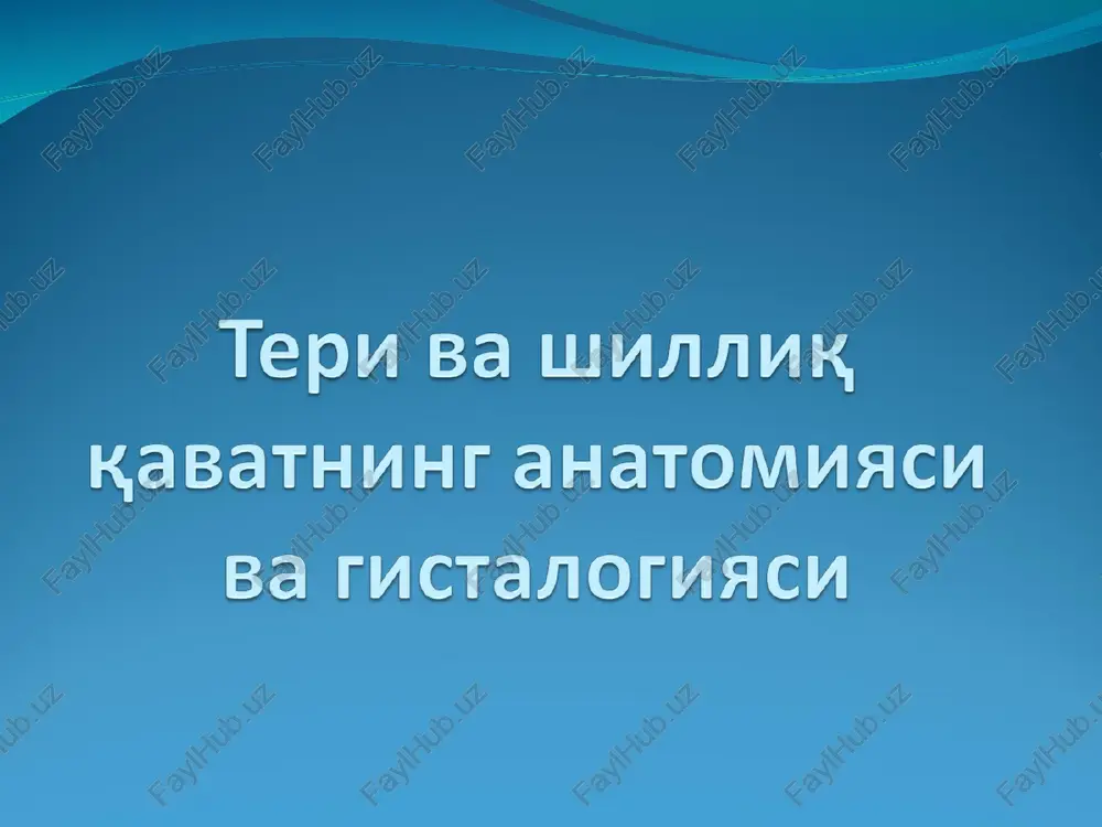 teri-inson tanasini qoplab turuvchi a'zo — PPT