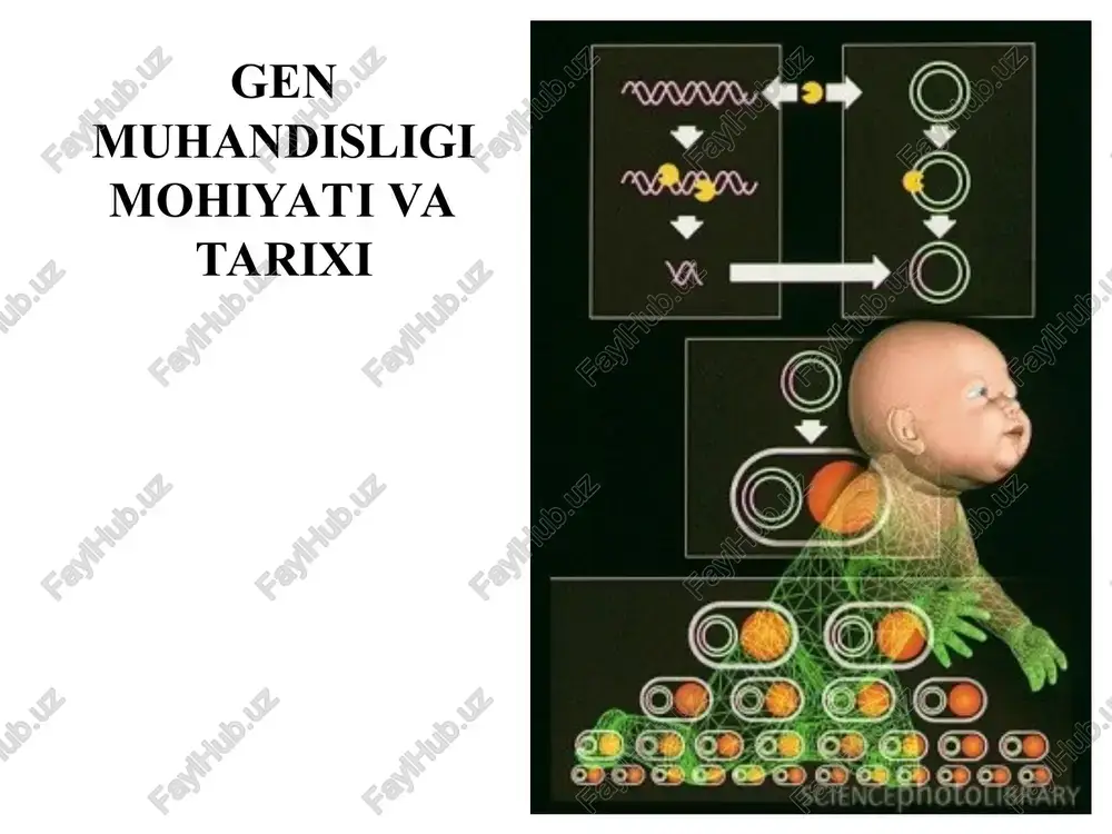gen muhandisligi mohiyati va tarixi — PPT