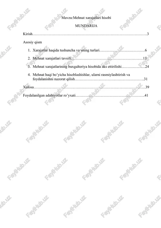 mehnat xarajatlari hisobi — DOCX