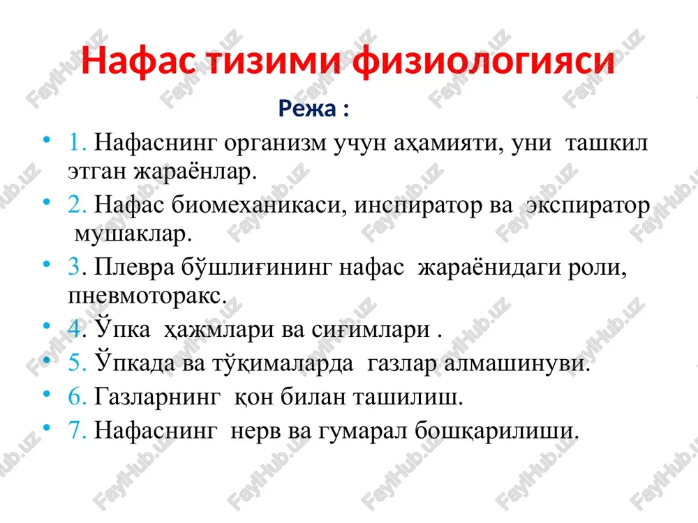 nafas tizimi fiziologiyasi — PPTX