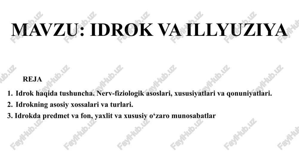 idrok va illyuziya — PPTX