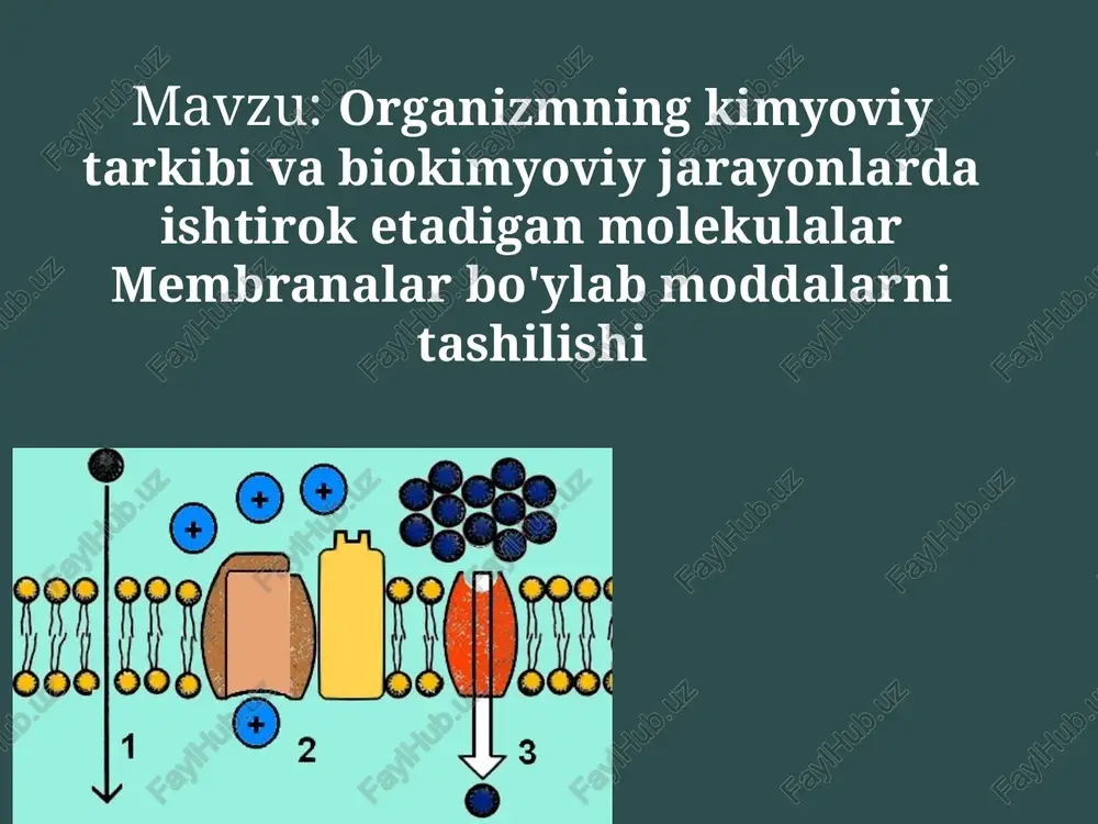 organizmning kimyoviy tarkibi va biokimyoviy jarayonlari — PPTX