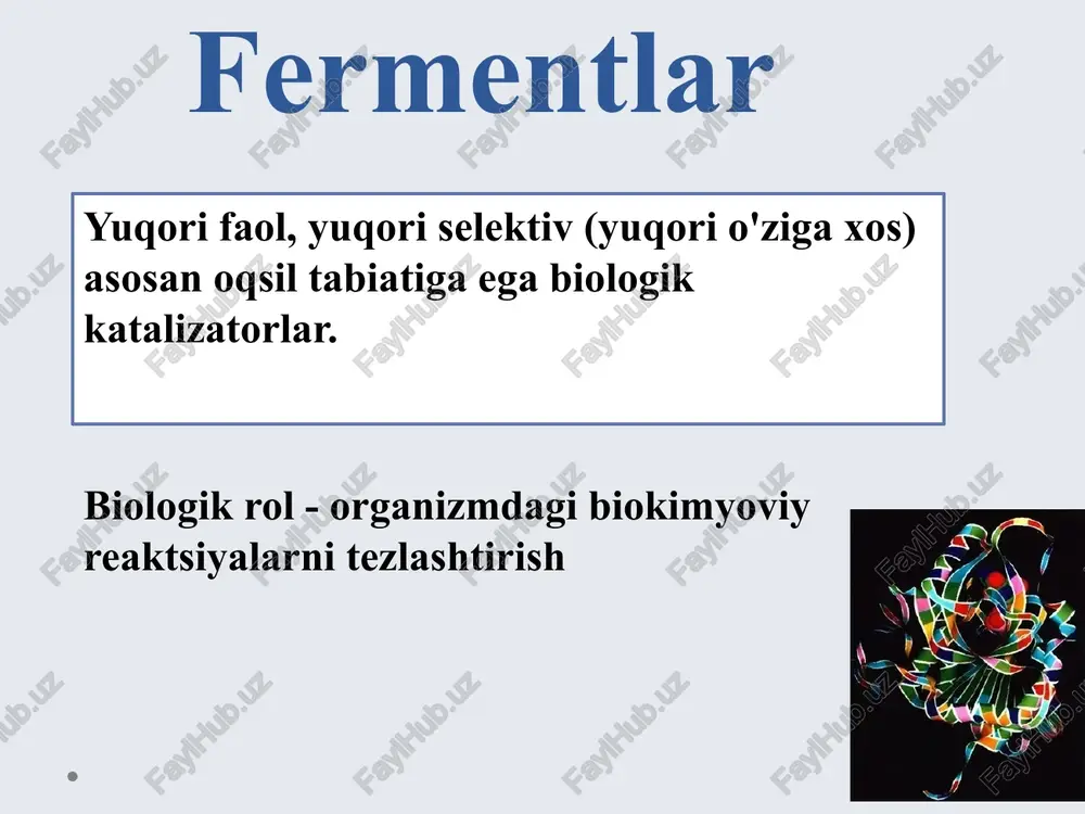 fermentlar — PPTX