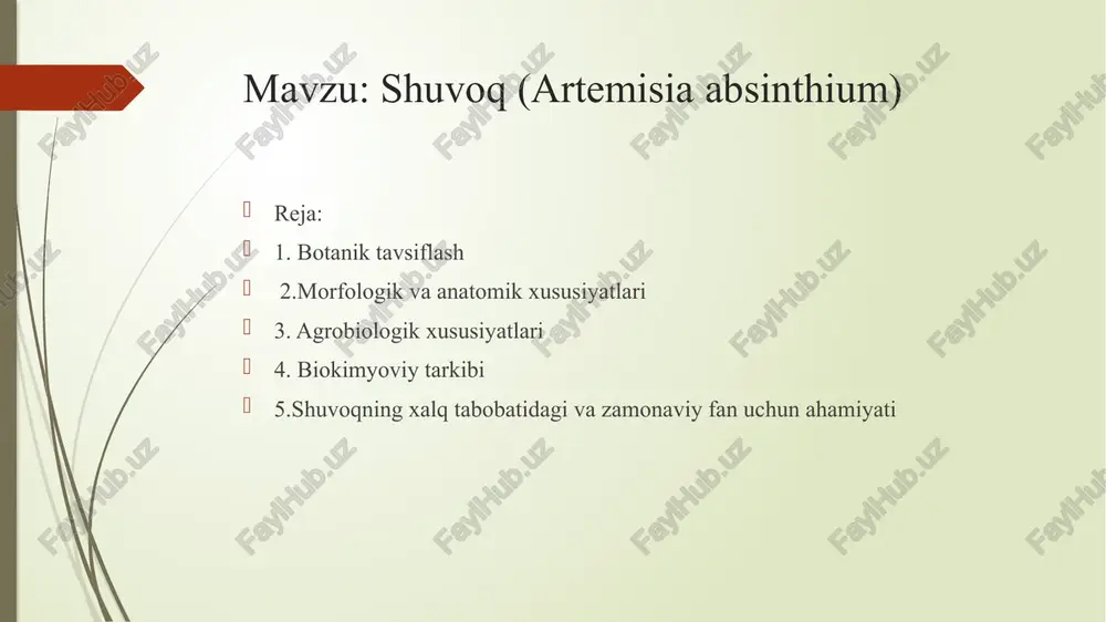 shuvoq (artemisia absinthium) — PPTX