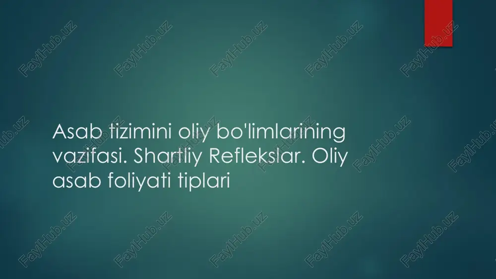 asab tizimini oliy bo'limlarining vazifasi — PPTX