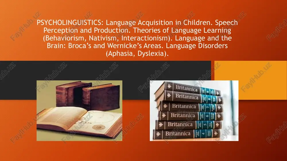 psycholinguistics: language acquisition and cognitive mechanisms — PPTX