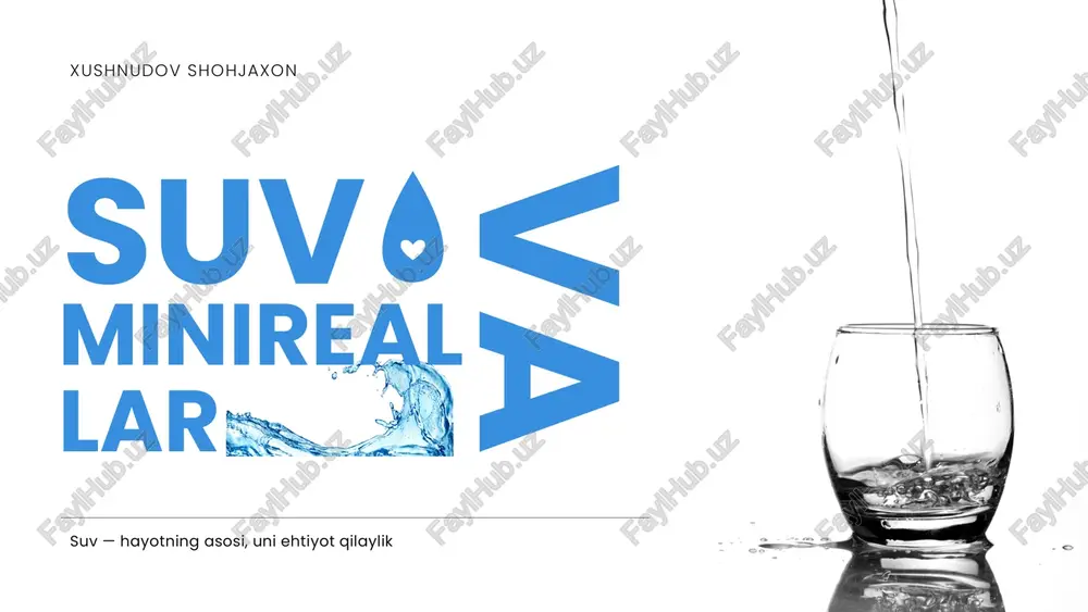 minireal — PDF