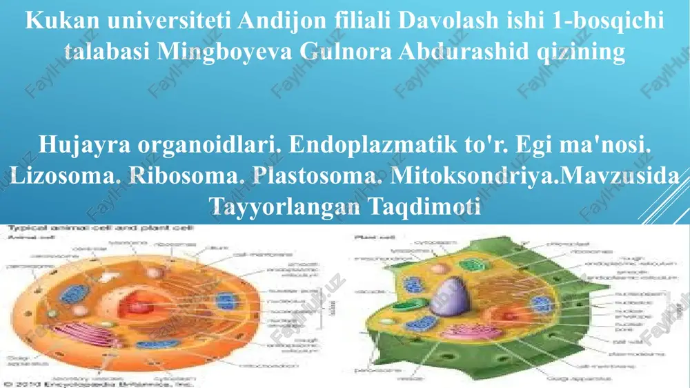 hujayra organoidlari — PPTX