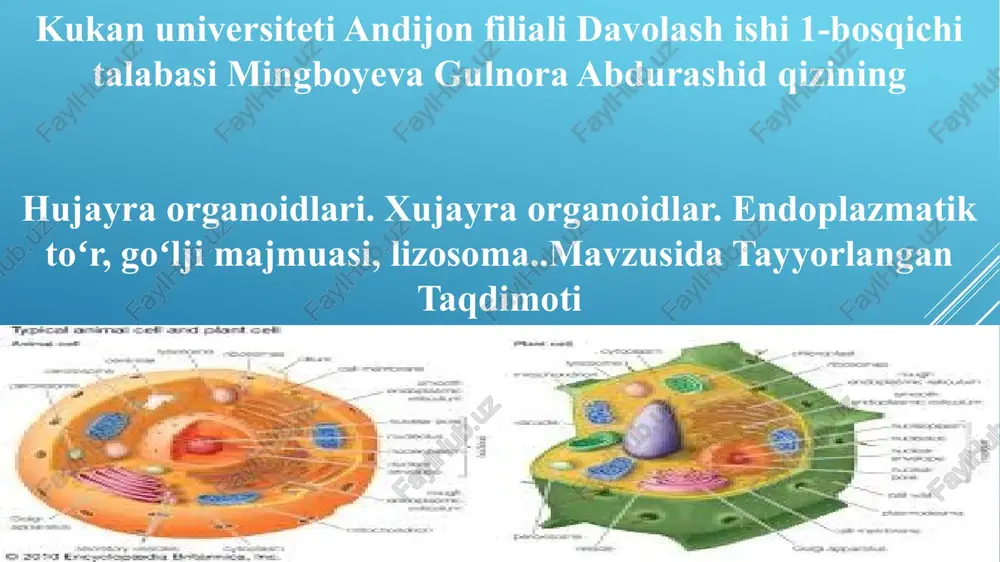hujayra organoidlari — PPTX