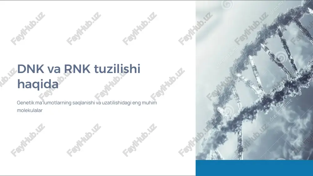 dnk va rnk tuzilishi haqida — PDF