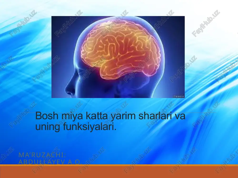 bosh miya qachon katta bo'ladi — PPTX