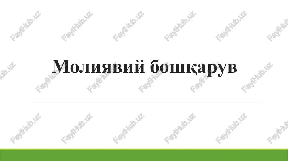 moliyaviy boshqaruv — PPTX