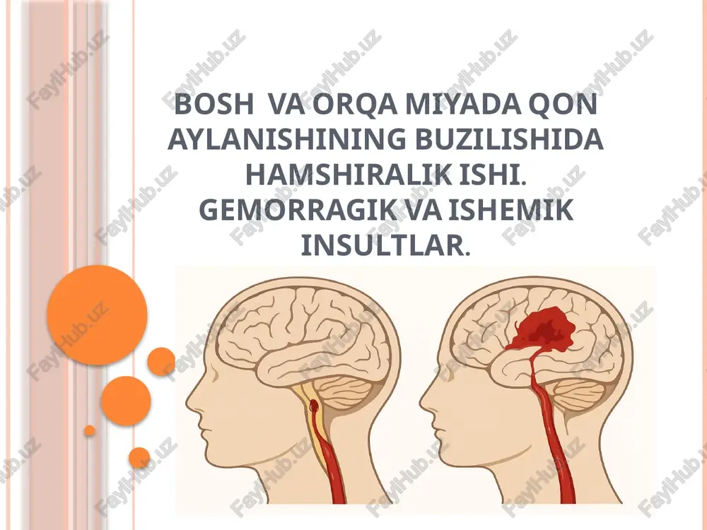 bosh va orqa miyaning qon aylanishining buzilishi — PPTX