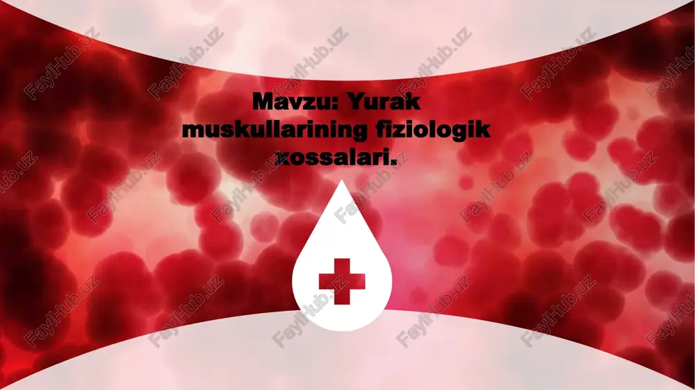 yurakmuskullariningfiziologikxossalari — PPTX