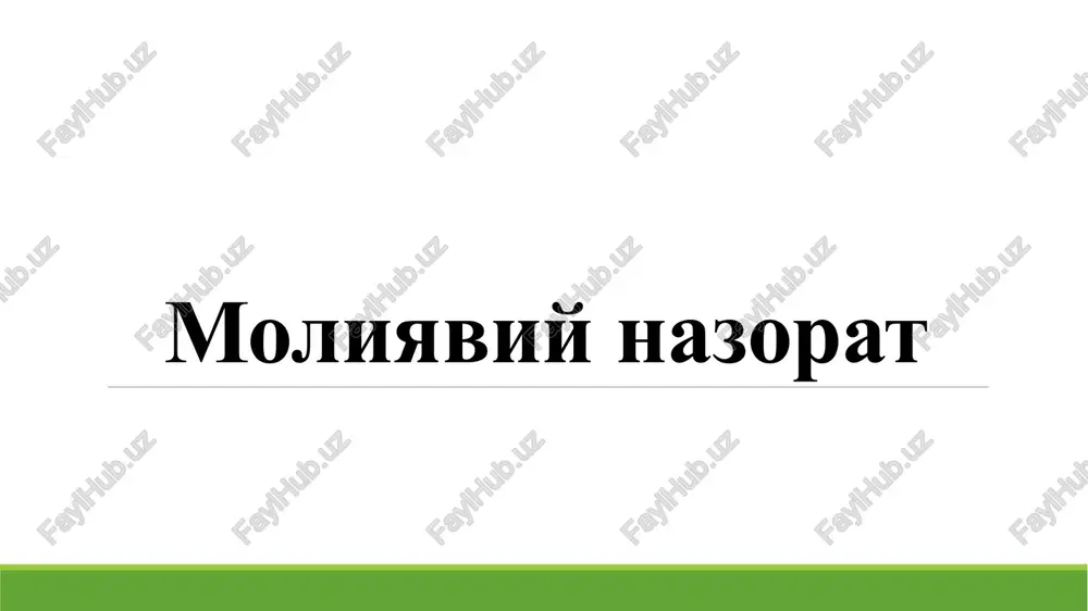 moliyaviy nazorat — PPTX