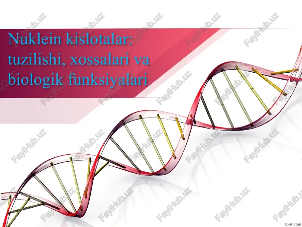 nuklein kislotalar — PPTX