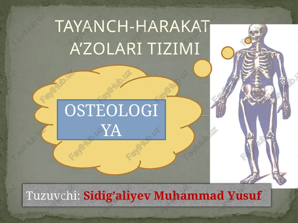 tayanch-harakat — PPTX