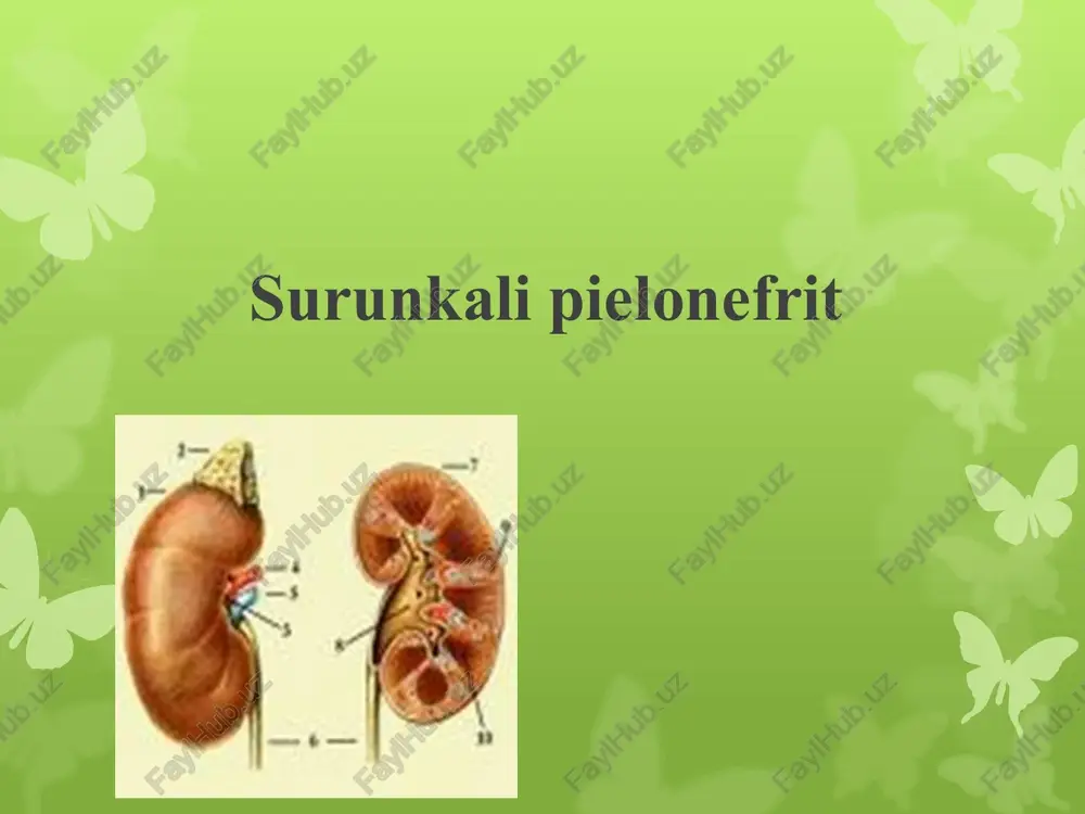 surunkali pielonefrit — PPTX