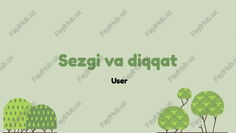sezgi va diqqat — PPTX