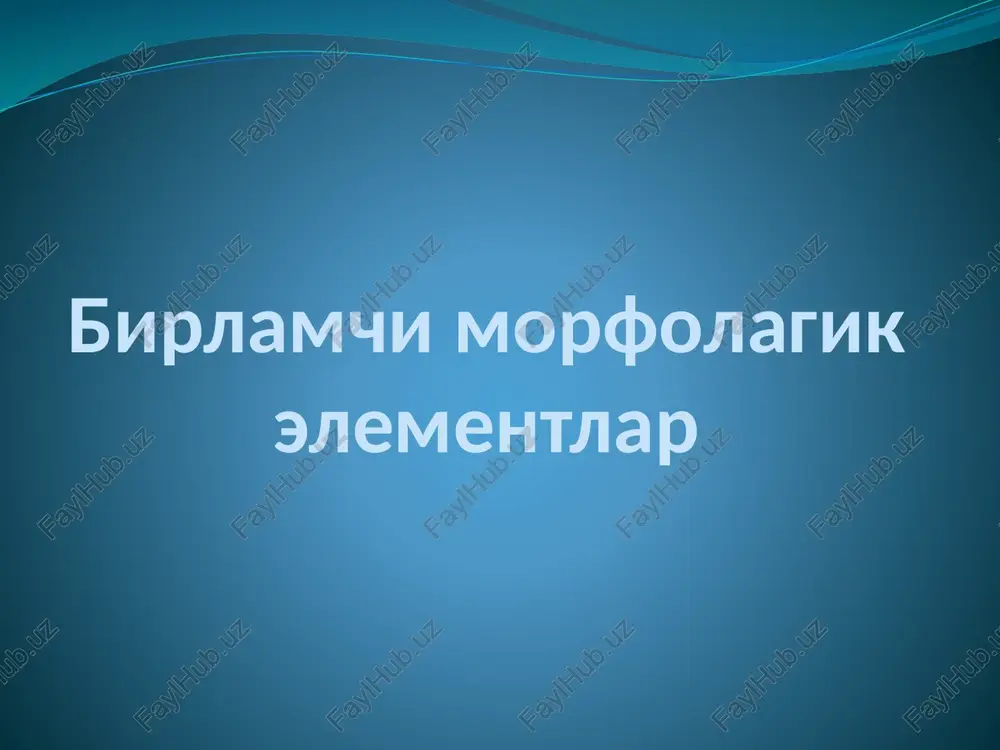 birlamchimorfolagikelementlar — PPTX