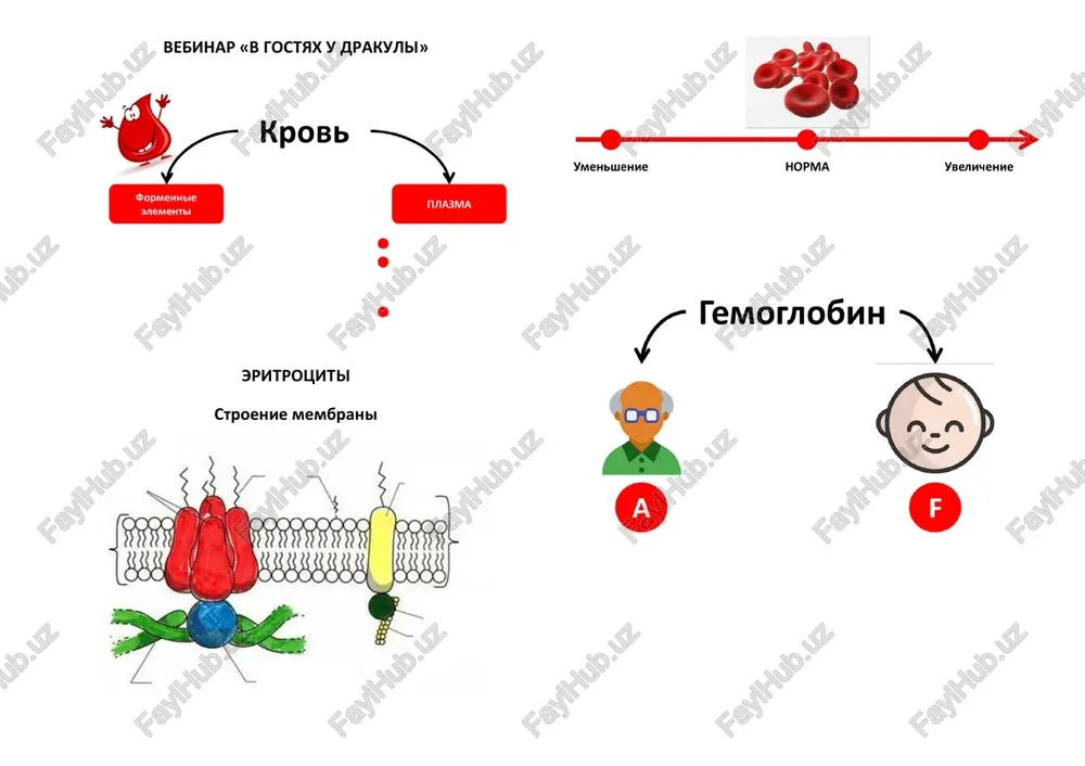 vebinar «v gostyax u drakuli» — PDF