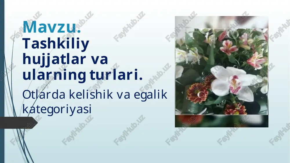 tashkiliy hujjatlar va ularning turlari — PPTX