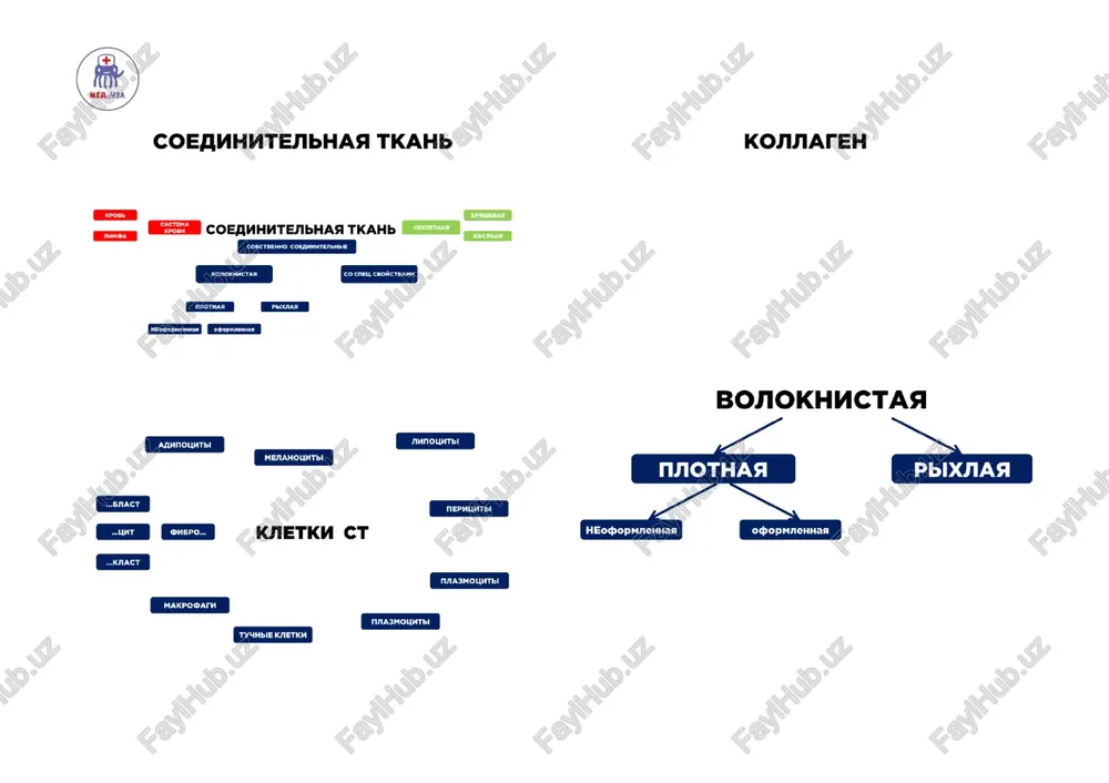 kostnaya tkan — PDF