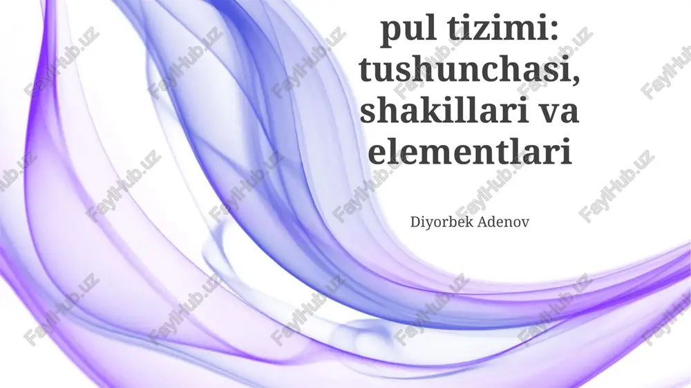 pul tizimi konsepsiyasi — PPTX