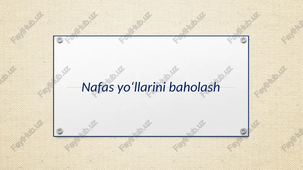 nafas yo‘llari — PPTX