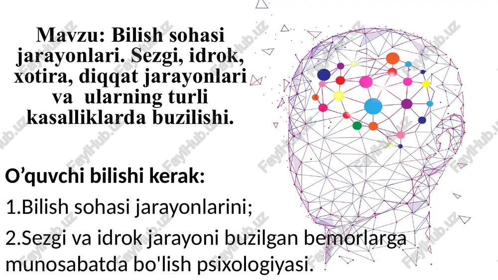 bilish sohasi jarayonlari — PPTX