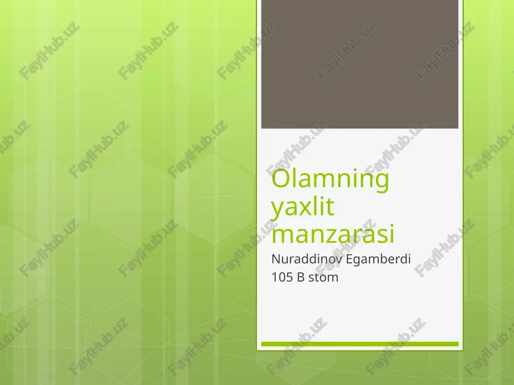 olamning yaxlit manzarasi pptx — PPTX