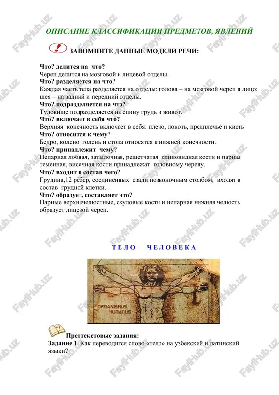 opisanie klassifikatsii predmetov, yavleniy — DOCX