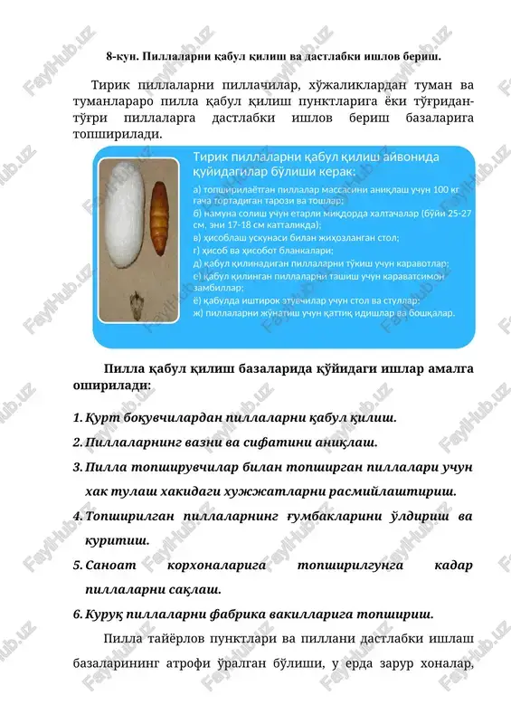 pillalarni qabul qilish va dastlabki ishlov berish — DOCX