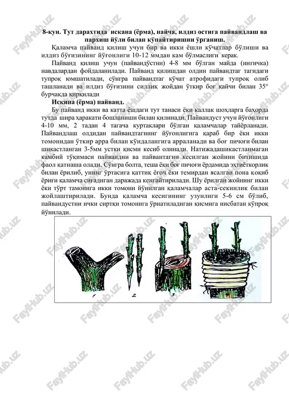 iskina (yorma) payvand — DOCX