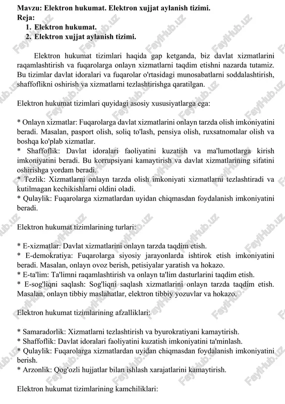 elektron hukumat — DOCX
