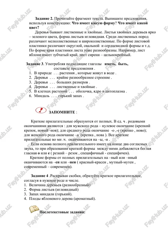 forma i tsvet rasteniy — DOCX