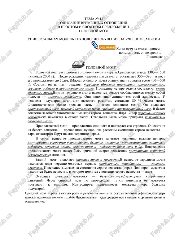 golovnoy mozg — DOCX